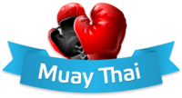 Тайский бокс, спортивная секция